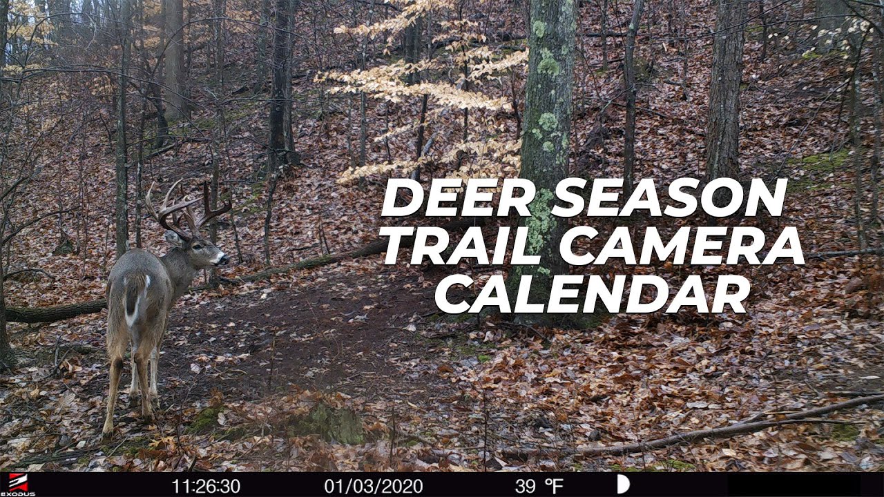 The Whitetail Hunting Season Trail Camera Calendar