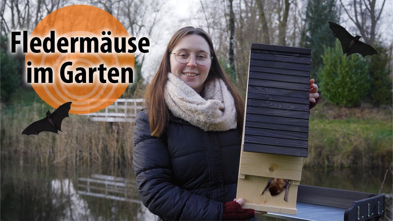 Flederm&auml;use in den Garten locken | dobarsmart: Fledermausk&auml;sten