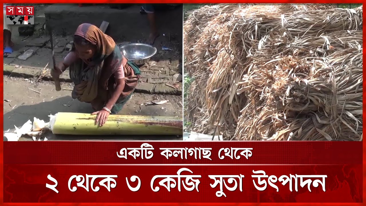 ফেলে দেয়া কলা গাছের আঁশ থেকে তৈরি হচ্ছে সুতা | Banana Fiber | Pirojpur News | Somoy TV