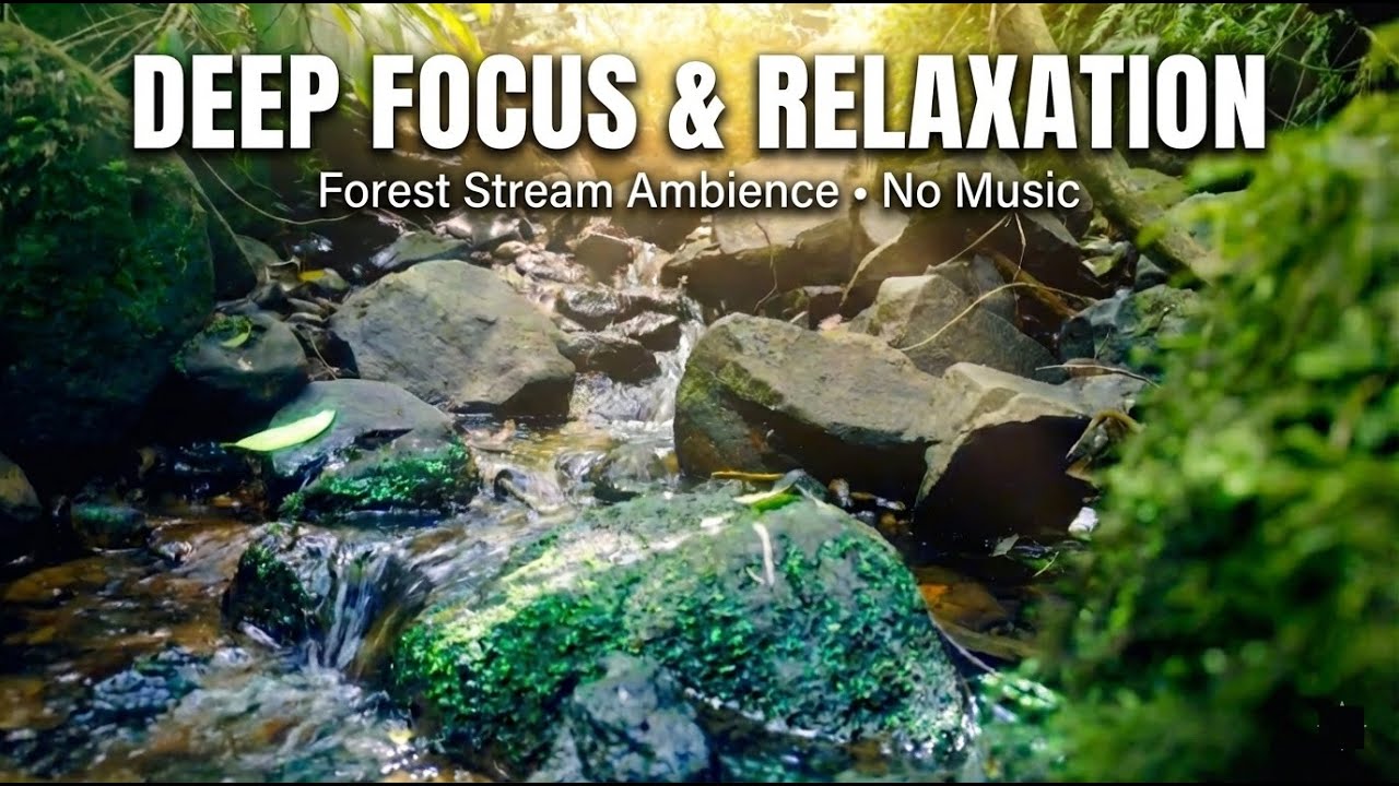 Gentle Stream Sounds in the Deep Forest 🌿 Nature Ambience for Study & Focus