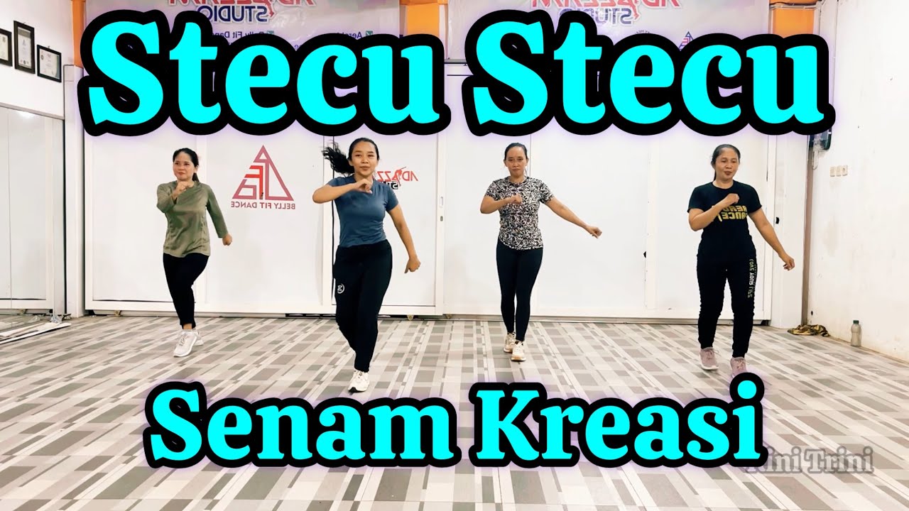 SENAM KREASI DJ STECU STECU BY RINI TRINI