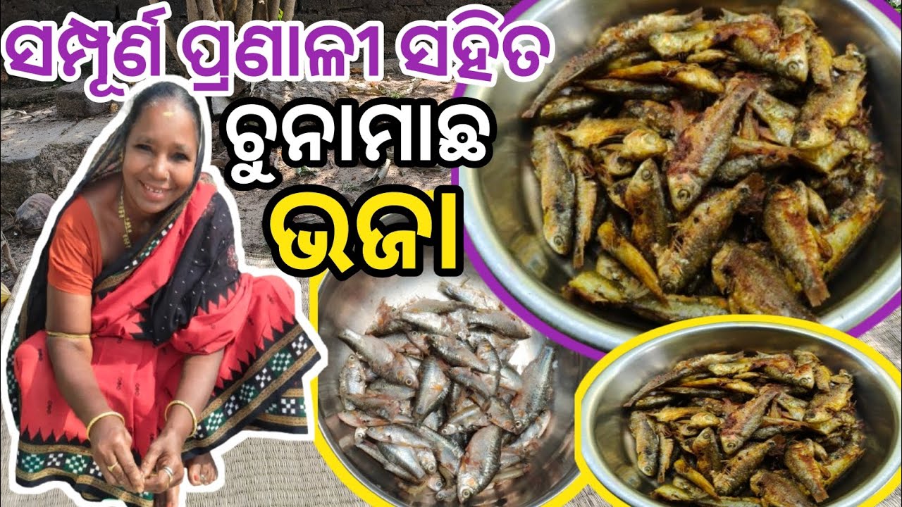 ଏମିତି ଭାଜନ୍ତୁ ଚୁନାମାଛ ପଖାଳ ହେଉ କି ଗରମ ସବୁଥିରେ ଜମିବ/Chuna Machha Bhaja@AaiNatuniHandisala