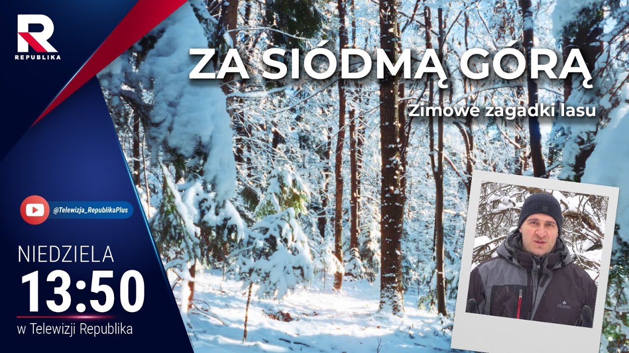 Za Siódmą Górą - Zimowe zagadki lasu