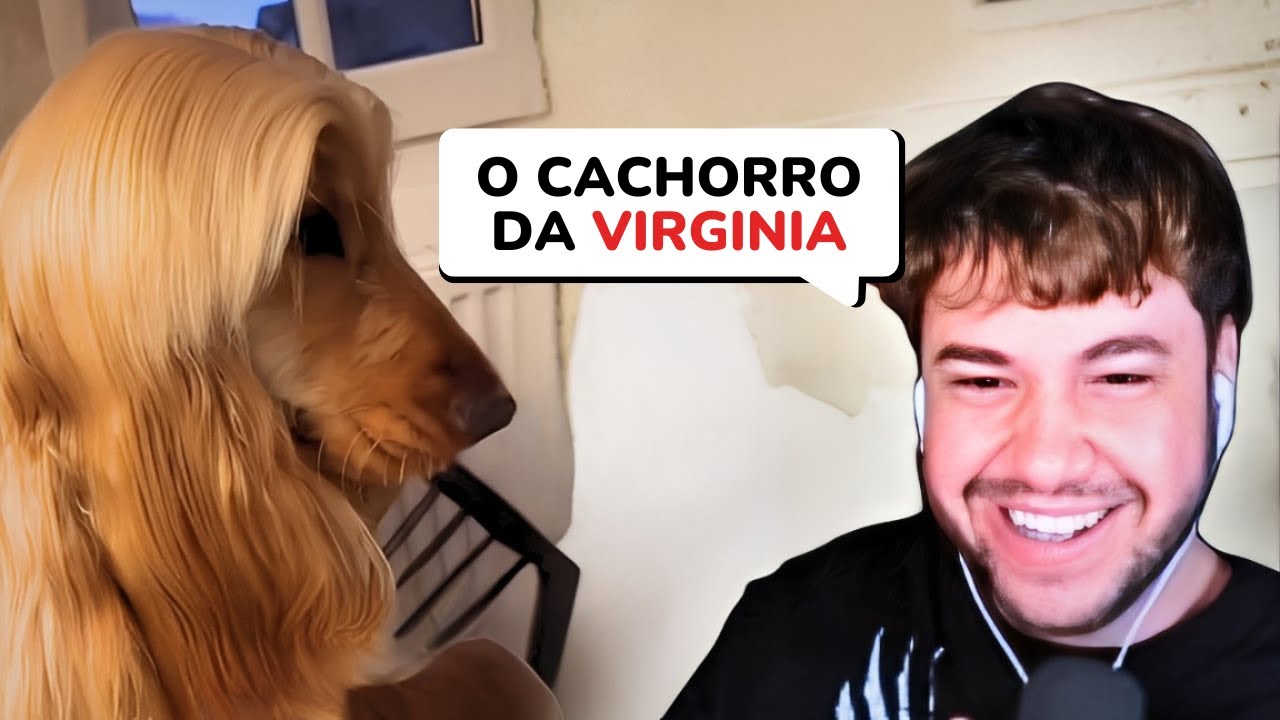 O CACHORRO DA VIRGINIA - React TikToks Brino