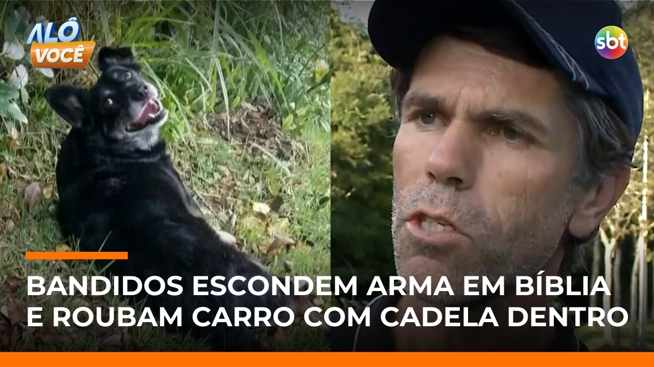 Criminosos escondem arma em Bíblia e roubam carro com cadela doente dentro | #AloVoce