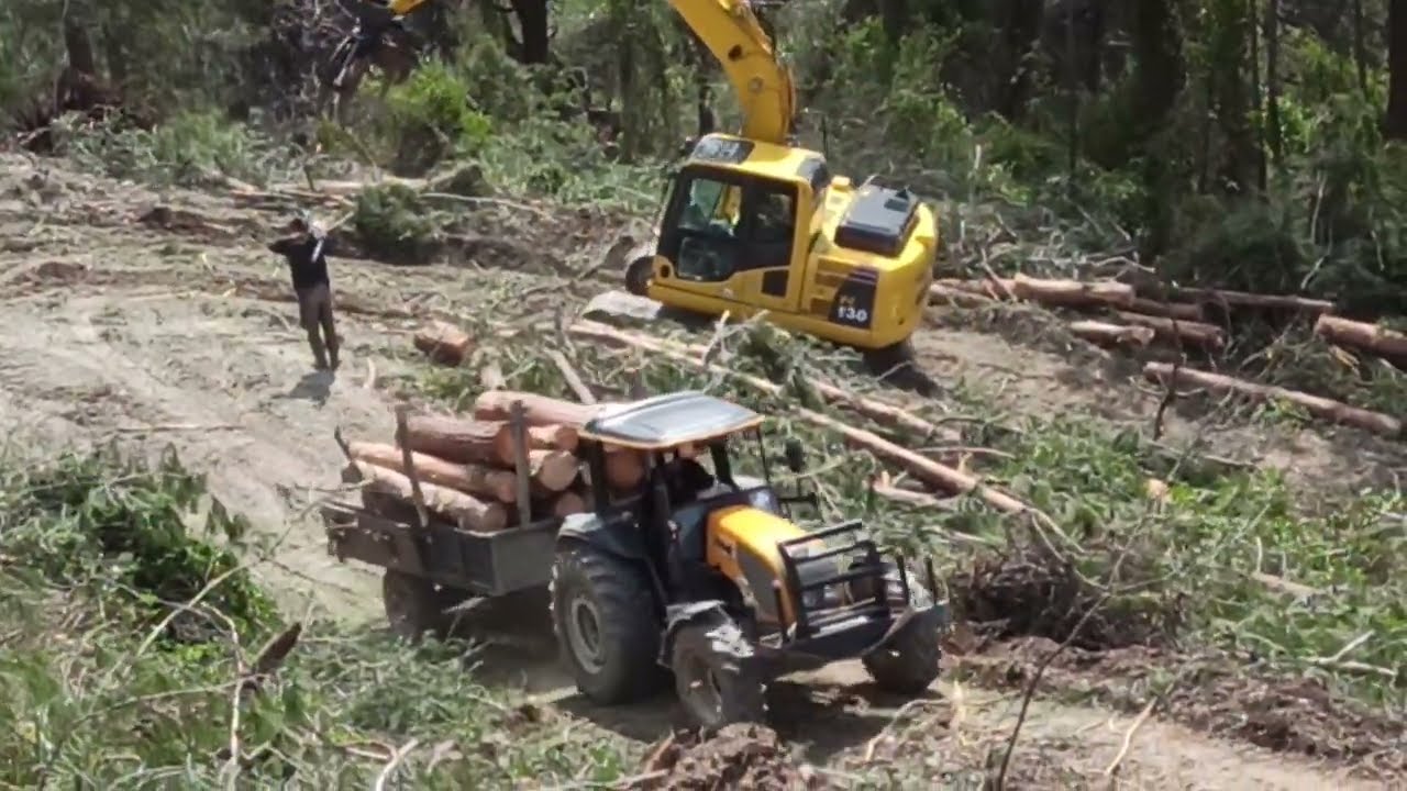 VALTRA TRAKTÖR ZORLU ORMAN İŞİNDE RÖMORK LA TOMRUK ÇEKME