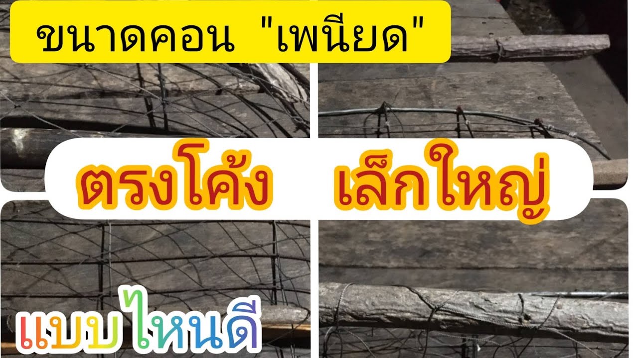 ขนาดคอน 