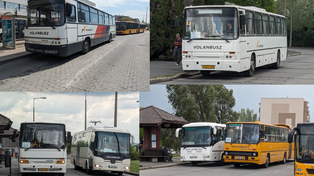 2025.04.24. - Ikarus C56-osok Székesfehérvár- és Várpalota, Autóbusz-állomáson + utazás GMY-382-n