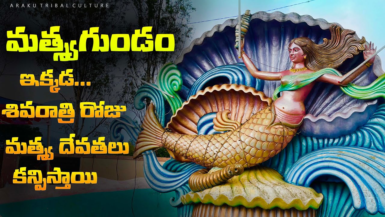 మత్స్యగుండం జాతర | Matsyagundam | Jathara | Tribal traditional fest