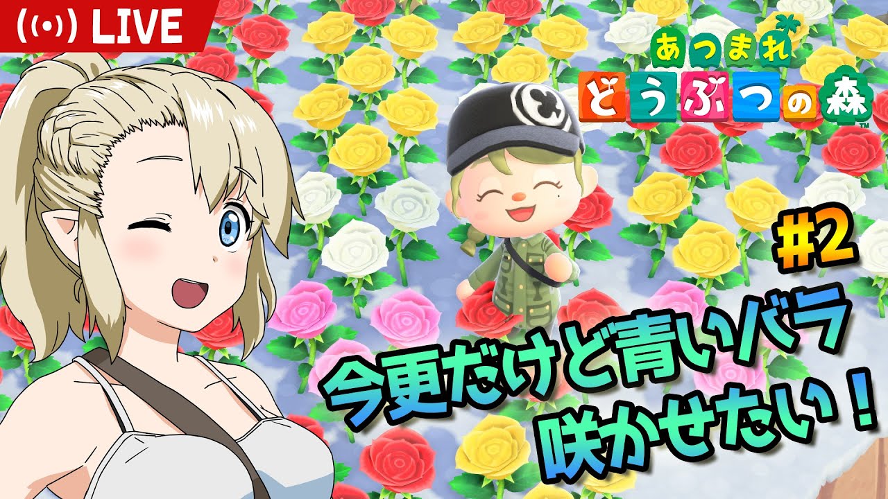 【あつまれ どうぶつの森】無人島開拓民くるぎーちゃん #24【Switch2 Edition】