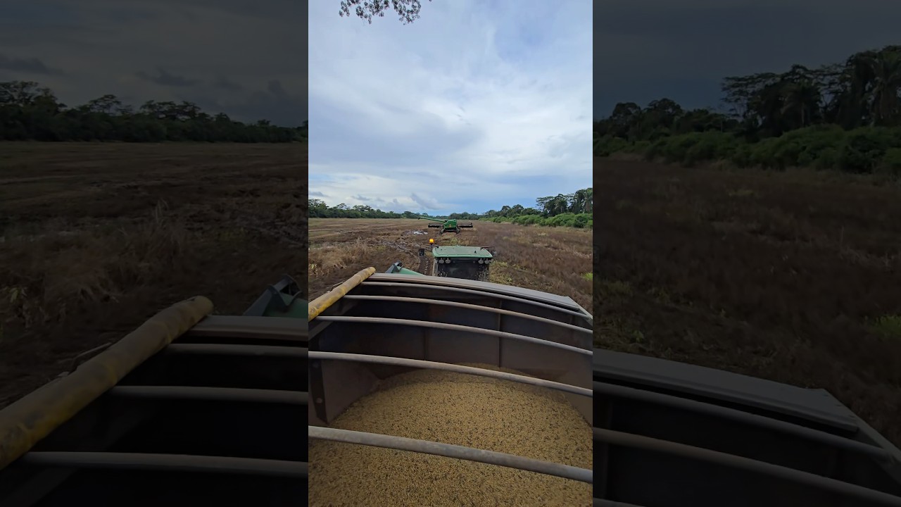 THE TRACTOR IS PULLING THE TRAILER THROUGH MUDDY TERRAIN