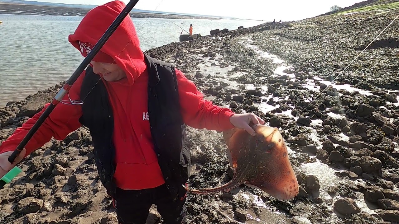 fishing mostyn 4 diffrent species!