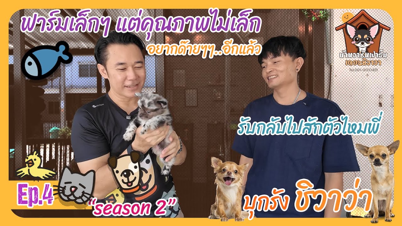 วาซัน ฟาร์ม Final