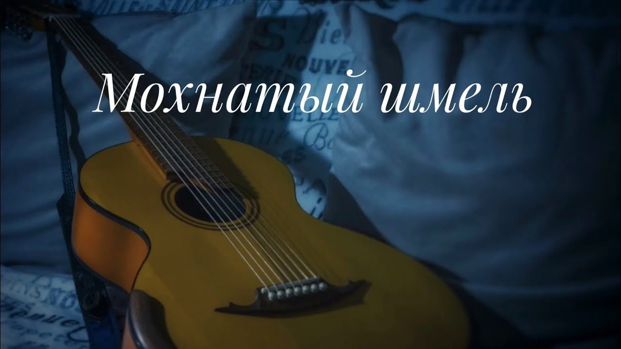 Мохнатый шмель 
||семиструнная гитара||