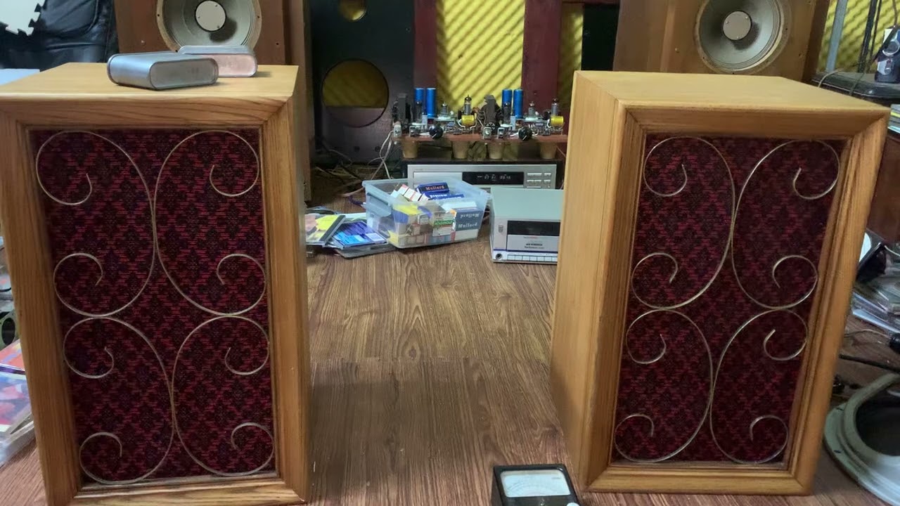 philips nhện phíp bass20 , Ca khúc Mưa bay trong đời! Duy khánh trình bày rất thành công