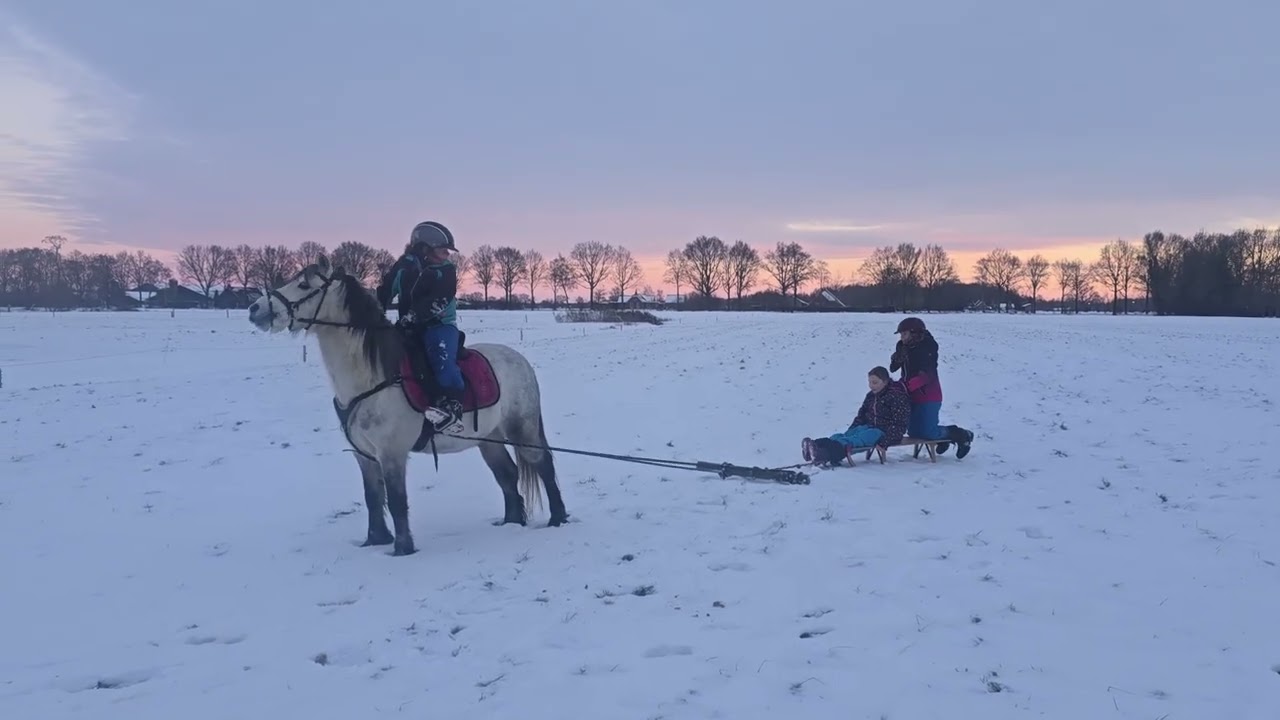 Sneeuwpret.  De zusjes racen in de sneeuw op hun pony´s en pony Blitz gaat voor de slee.