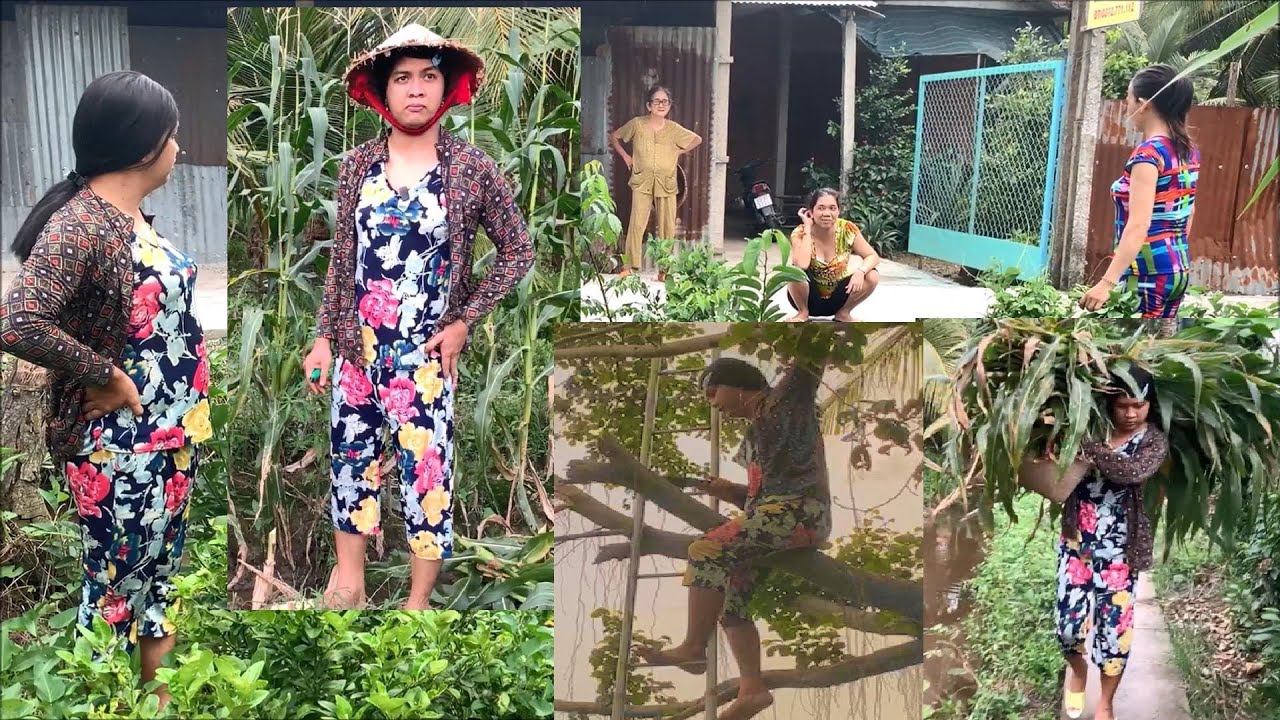 Vợ thằng Sang cắt bắp cho bò ăn | Con Liễu nhiều chuyện quá trời quá đất