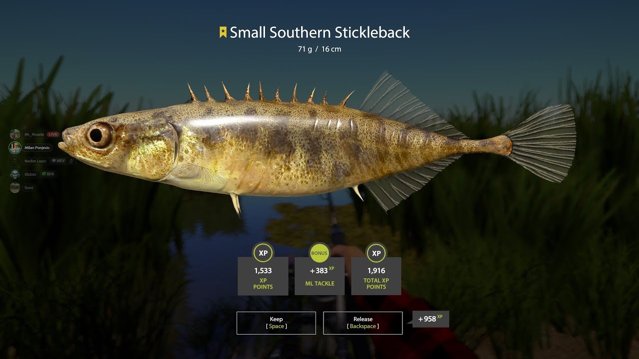 SMALL SOUTHERN STICKELBACK TROPHY! AKHTUBA RIVER - Russian Fishing 4 #rf4