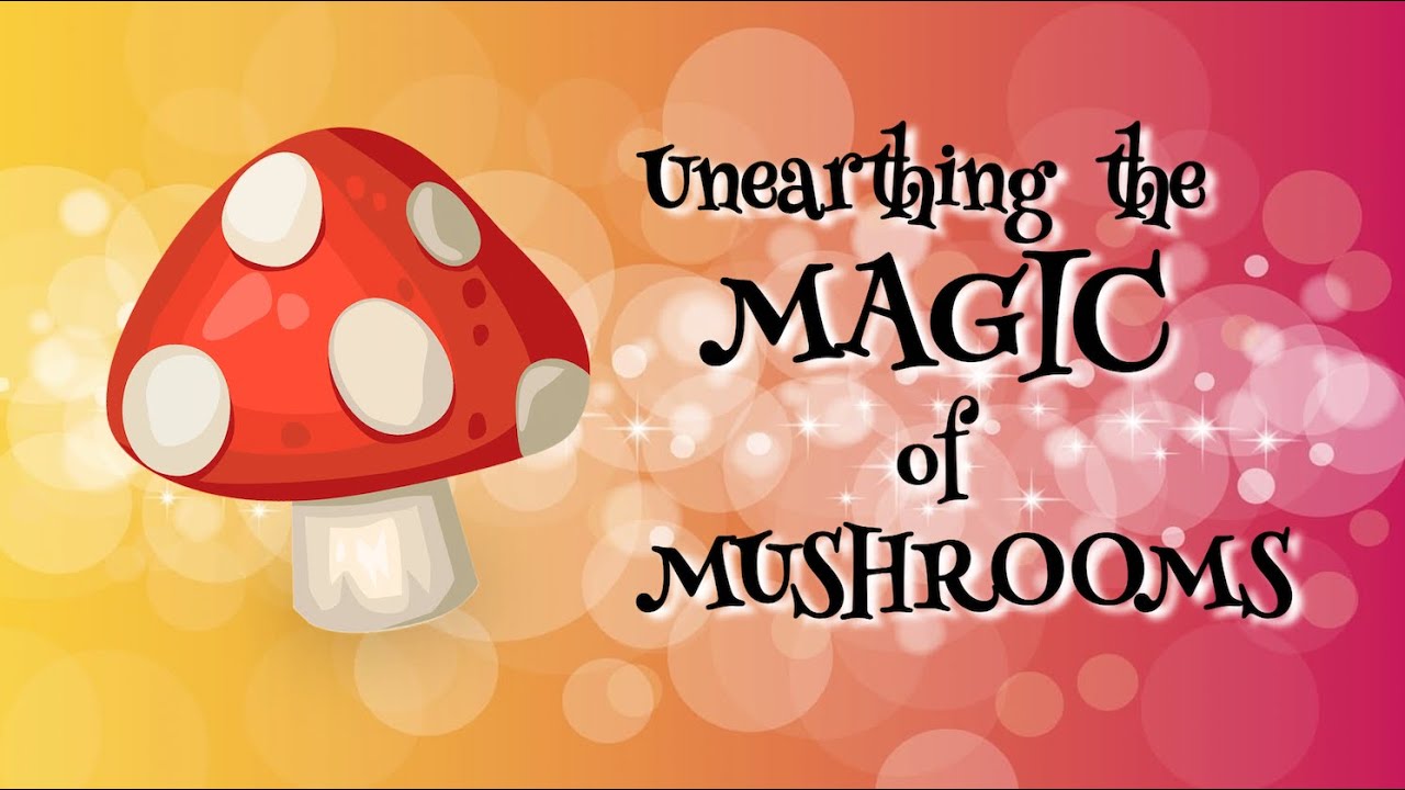 Unearthing The Magic Of MUSHROOMS - Ep. 20