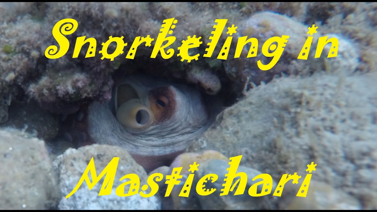 Snorkeling in Mastichari on the island of Kos in Greece