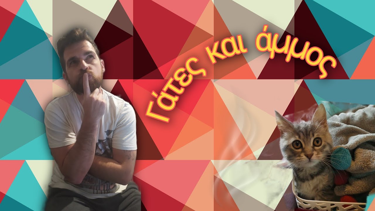 Γάτες και άμμος