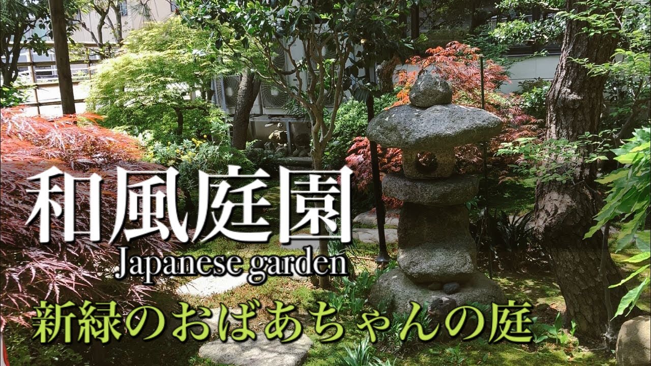 【和風庭園】新緑の季節 おばあちゃん家のお庭をご紹介 Japanese Garden 5月の新緑