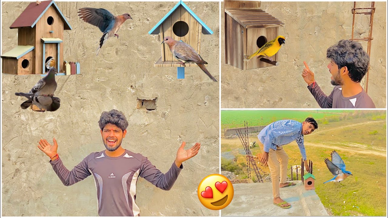 Mini zoo per breeding box laga diye 🦜 ( Birds new house 🏠 outside mini zoo