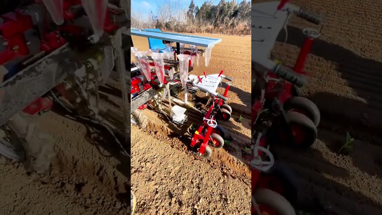 The small self-propelled vegetable seedling transplanter is powered by itself for transpla