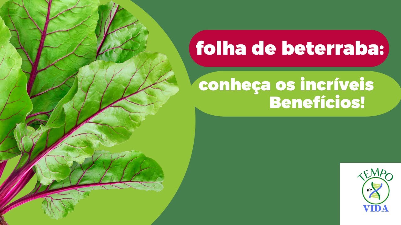 6 Benef&iacute;cios da Folha de Beterraba e Uma Receita Deliciosa!