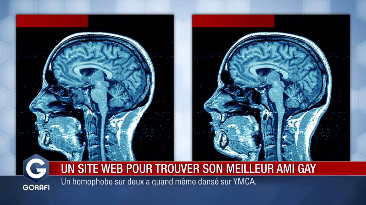 Un site web pour trouver son meilleur ami gay - Le Gorafi