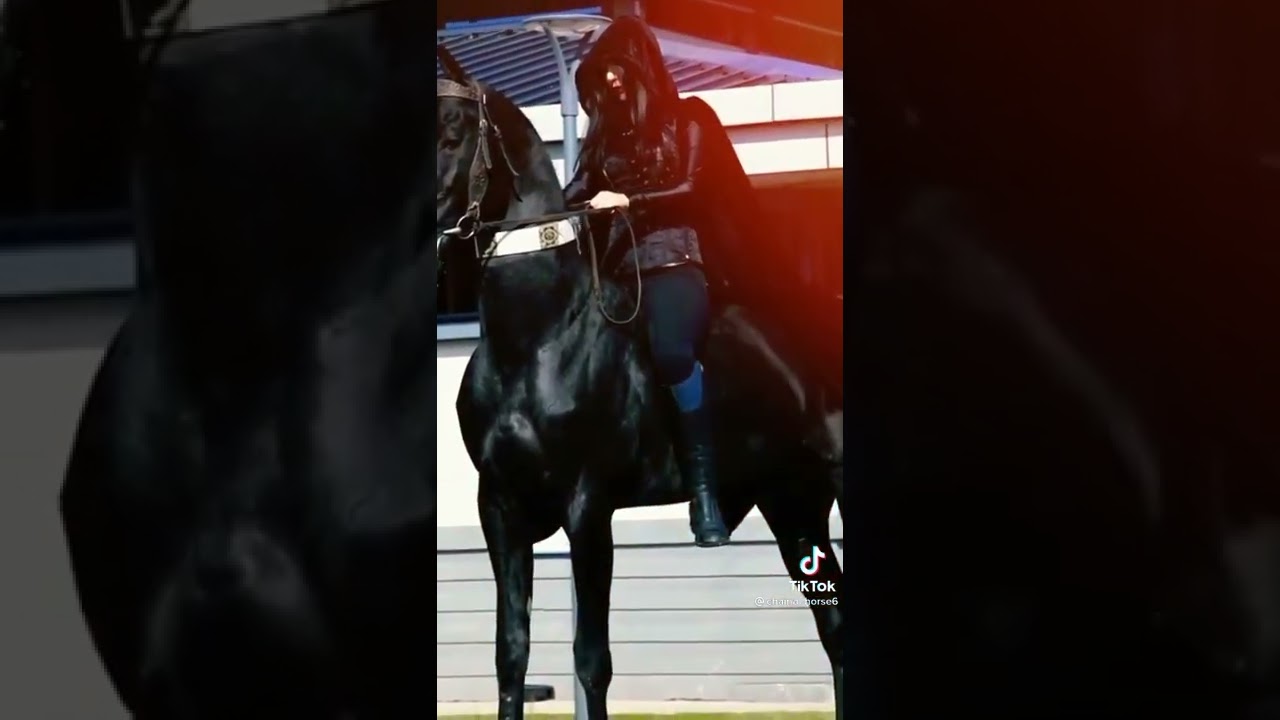 Girl Horse Riding || Horse Lover || Horse Race 