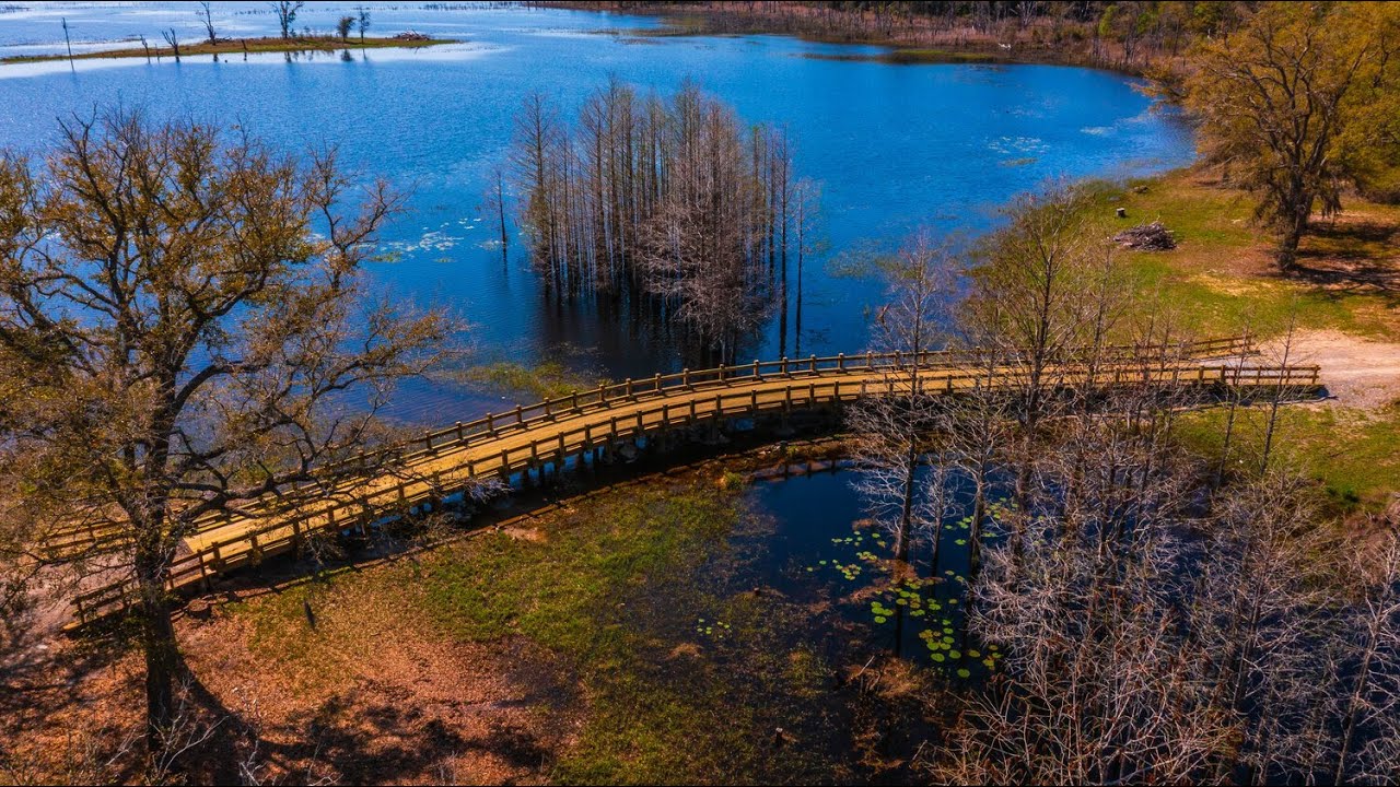 Vehicular Bridge Construction