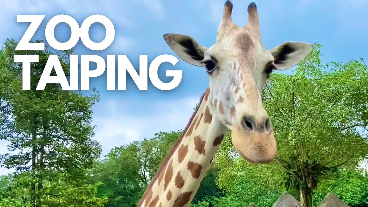 🇲🇾 Zoo Taiping & Night Safari Malaysia / May 2022  - 4K