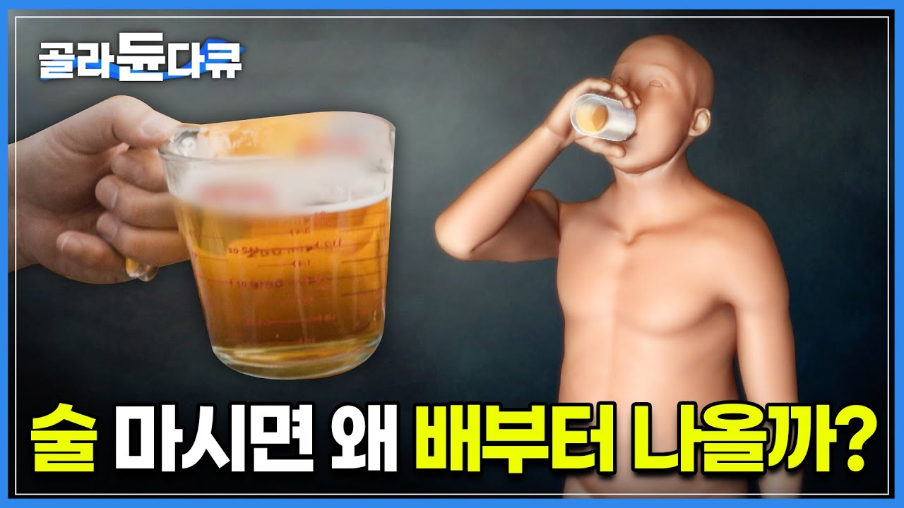 복부비만의 직.격.타 ‘술살’이란 말이 존재하는 이유 | 다이어트할 때 절대 입에 대면 안되는 1순위 | 술과 비만의 상관관계 | 귀하신 몸 | #골라듄다큐