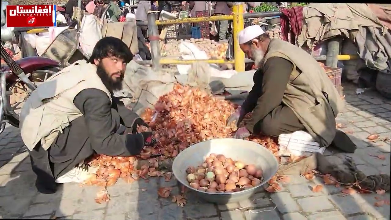 از صبح تا شب: کار مردم در شهر | From Morning to Night: Work in Three Cities.