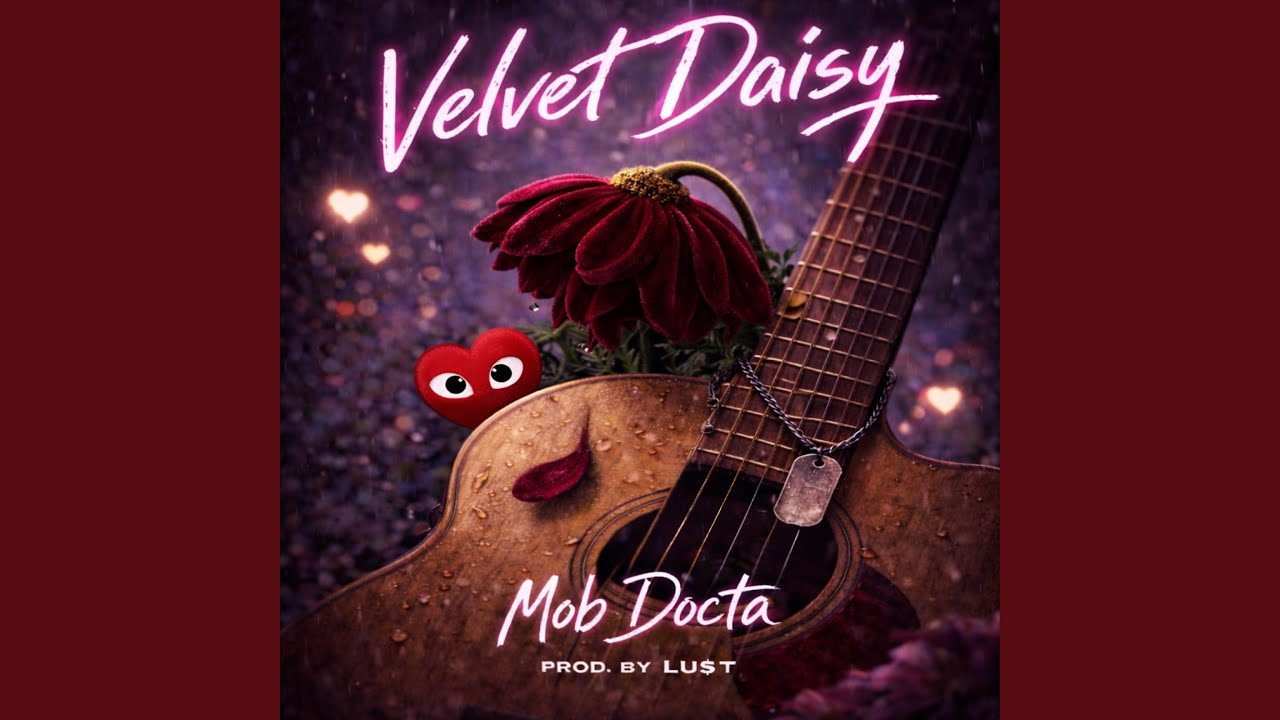 Velvet Daisy