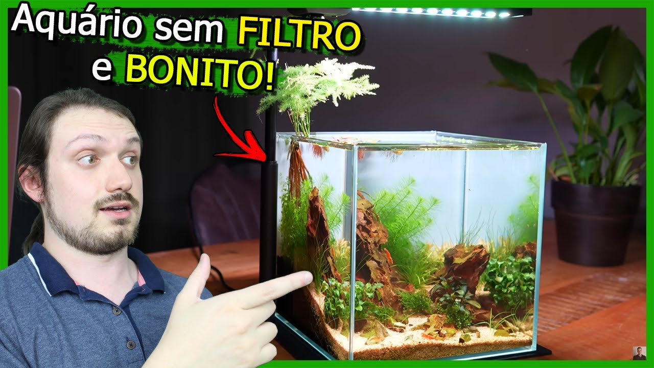 Montando um Aquário sem FILTRO e BONITO! É possível?