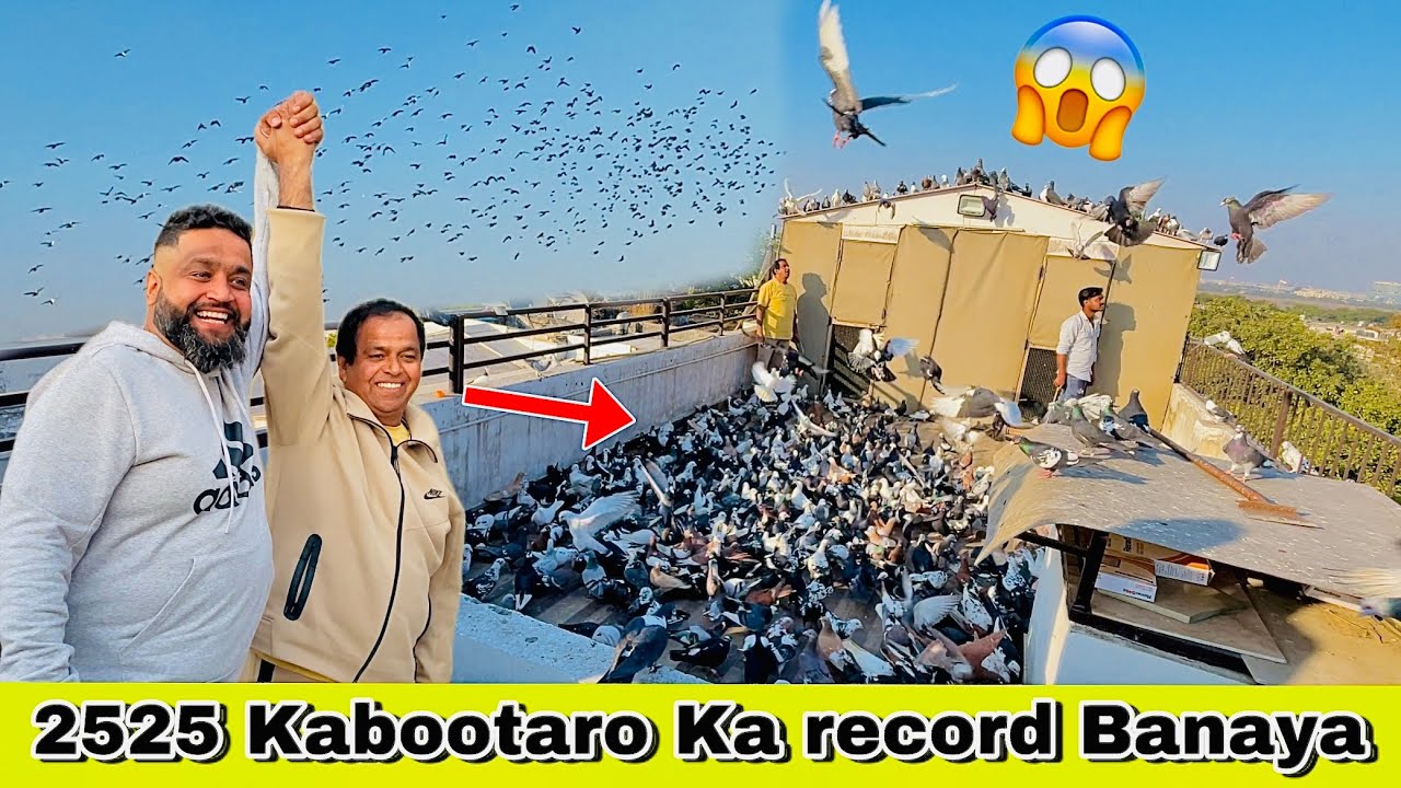 Badal Bhai Me Banaya Record | 25 January 2025 Ko Udaye 2525 Kabootar | Lajawab Shokh ❤️