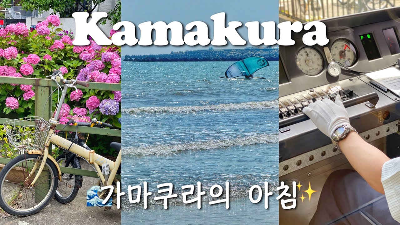 가마쿠라에서 아침을🚃｜다들 가는 코스 말고 로컬카페와 맛집들로｜모닝카페, 정식집, 궁극의 프토🍞｜애정하는 수국스팟, 유이가하마🌊