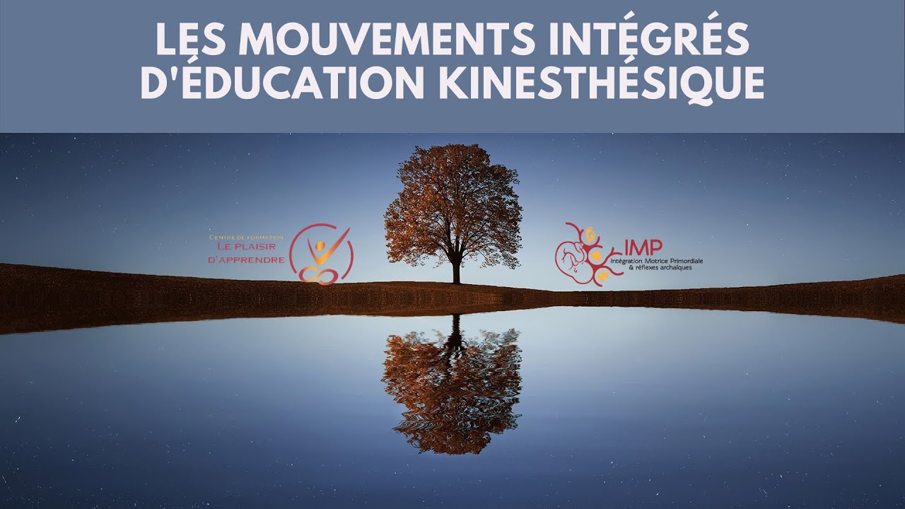 Les mouvements intégrés d'Éducation Kinesthésique - Intégration Motrice Primordiale (IMP)