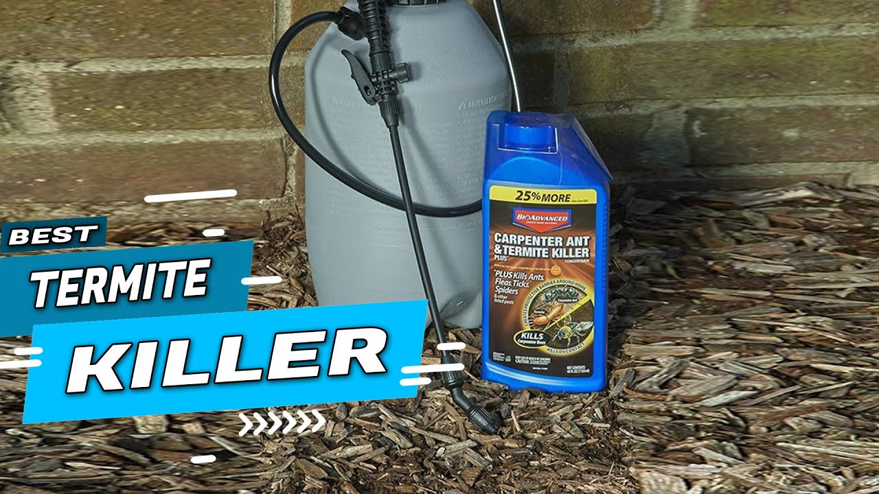 Top 5 Best Termite Killers Review in 2022