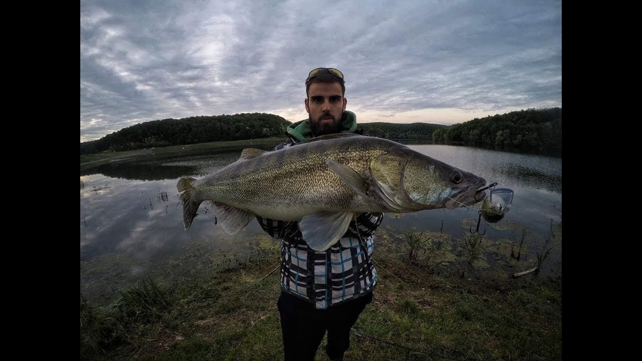 Zander fishing - Lake Borovik, Croatia