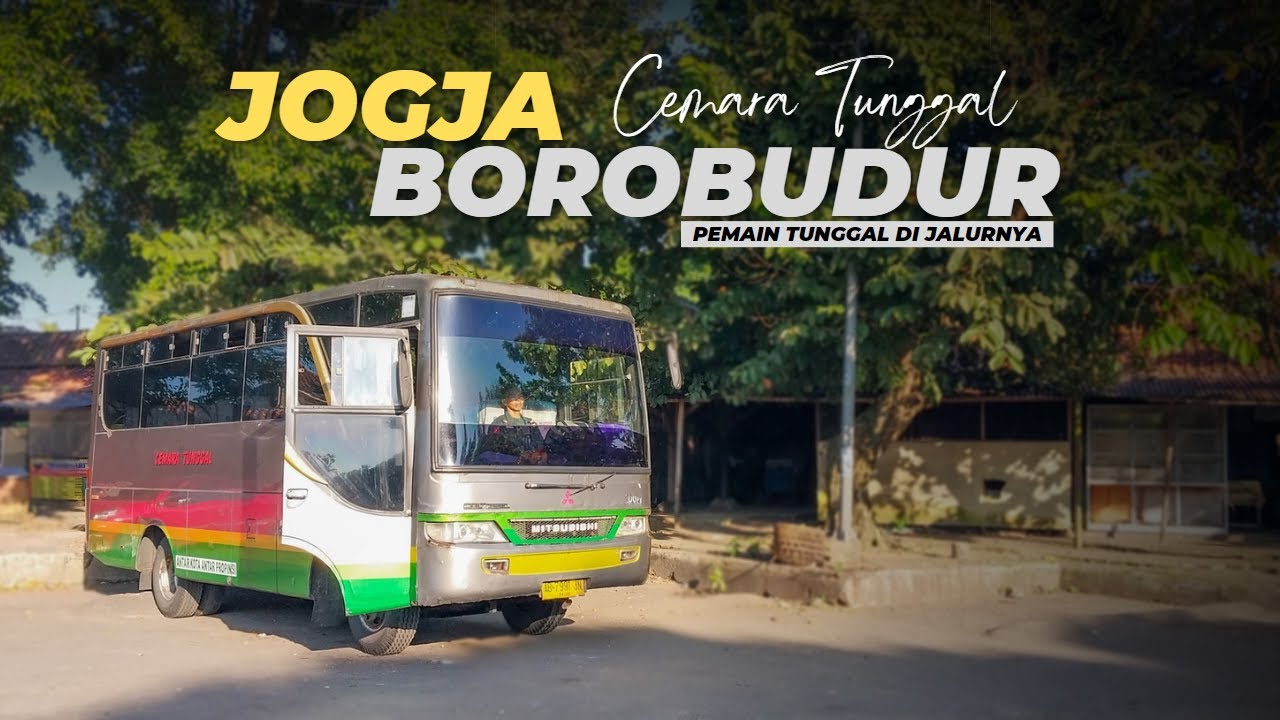BERTAHAN DENGAN SATU ARMADA❗ Jogja - Borobudur Naik Bus Cemara Tunggal