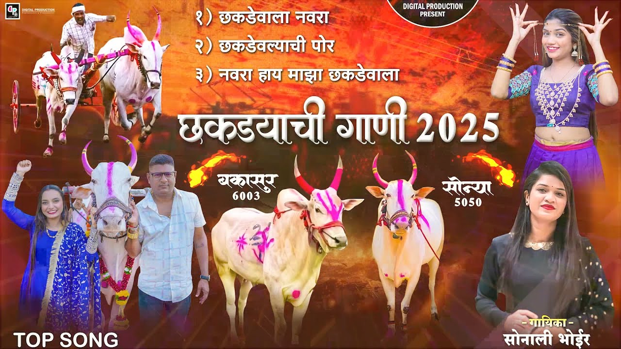 छकड्या ची  गाणी नॉनस्टॉप |  Sonali Bhoir | Bailgada Nonstop New Song 2025 | Bailgada New Song 2025