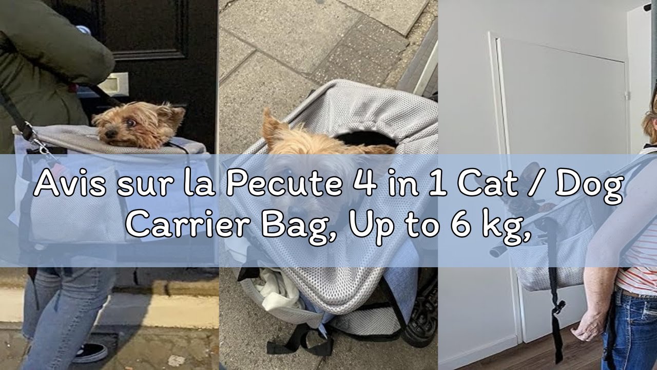 Avis sur la Pecute 4 in 1 Cat / Dog Carrier Bag, Up to 6 kg, Bicycle Basket+Backpack+Shoulder Bag+Ca