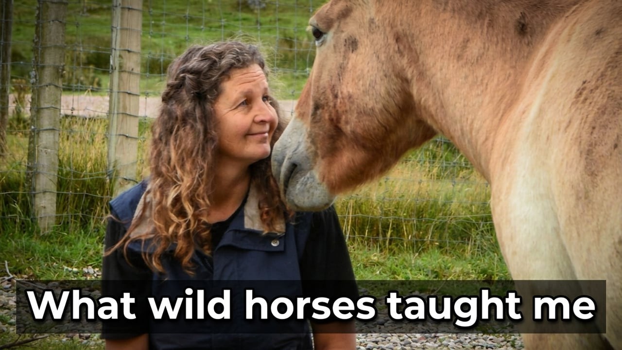 Your Horse Doesn't Want What You Think It Wants