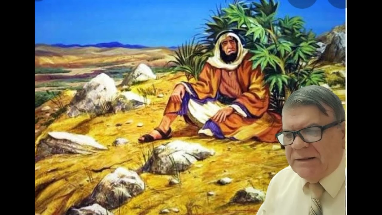 175 Aboboreira que planta é essa. Jonas 4