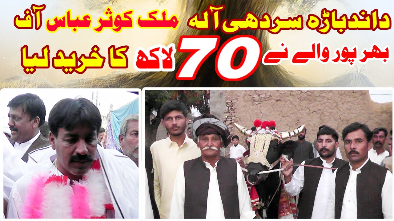 Dand Baharah Sardhi Ala 70 lakh wala