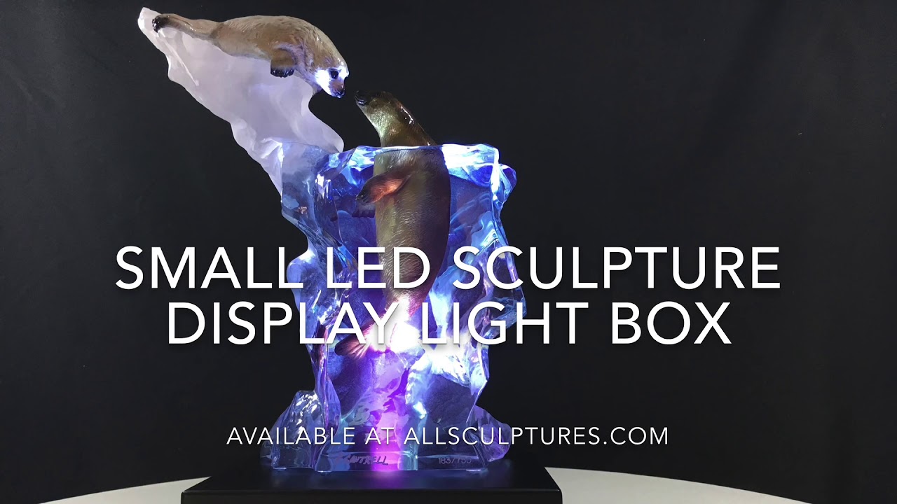 Small LED Sculpture Display Light Box