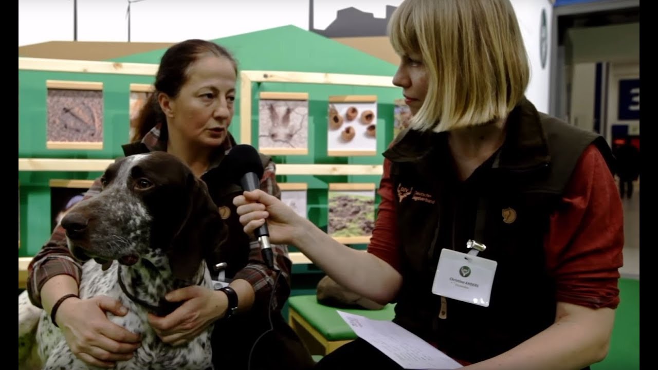 Was sind eigentlich Jagdhunde? Interview auf der Grünen Woche 2018